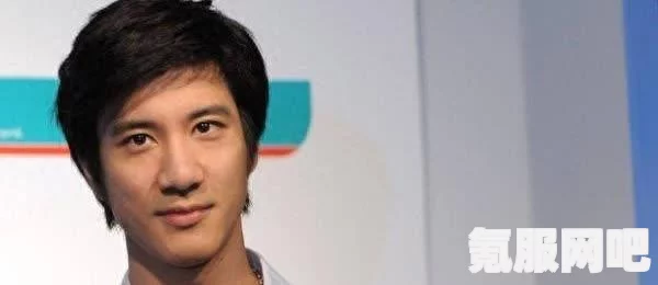 揭秘王力宏离婚事件，真相背后的故事与回应传闻