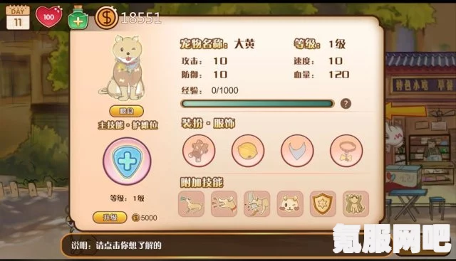 家有小店宠物培养攻略，打造独特伙伴的秘诀