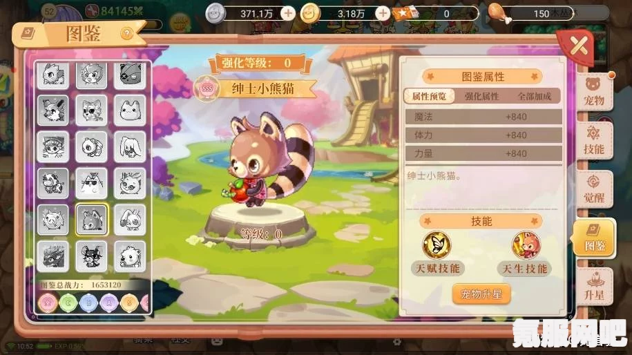家有小店宠物培养攻略，打造独特伙伴的秘诀