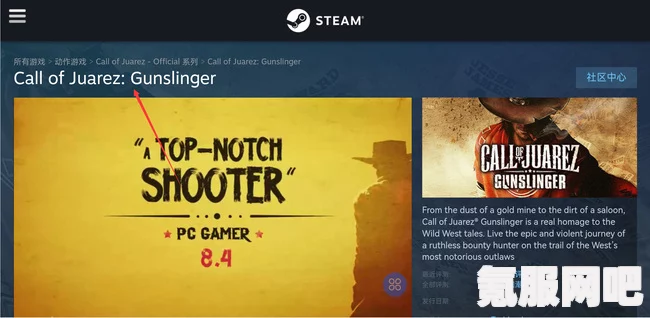 狂野西部枪手在Steam上的名字及游戏介绍