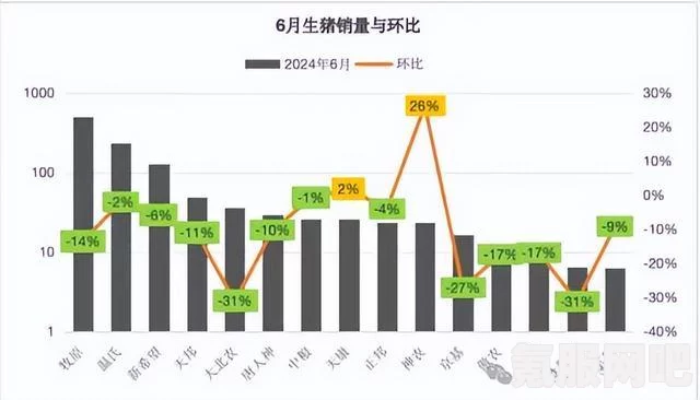 飞越13号房下半部收费及价格解析