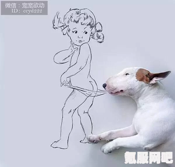 原神击败狗狗黑影任务攻略大全，步骤详解与常见问题解答