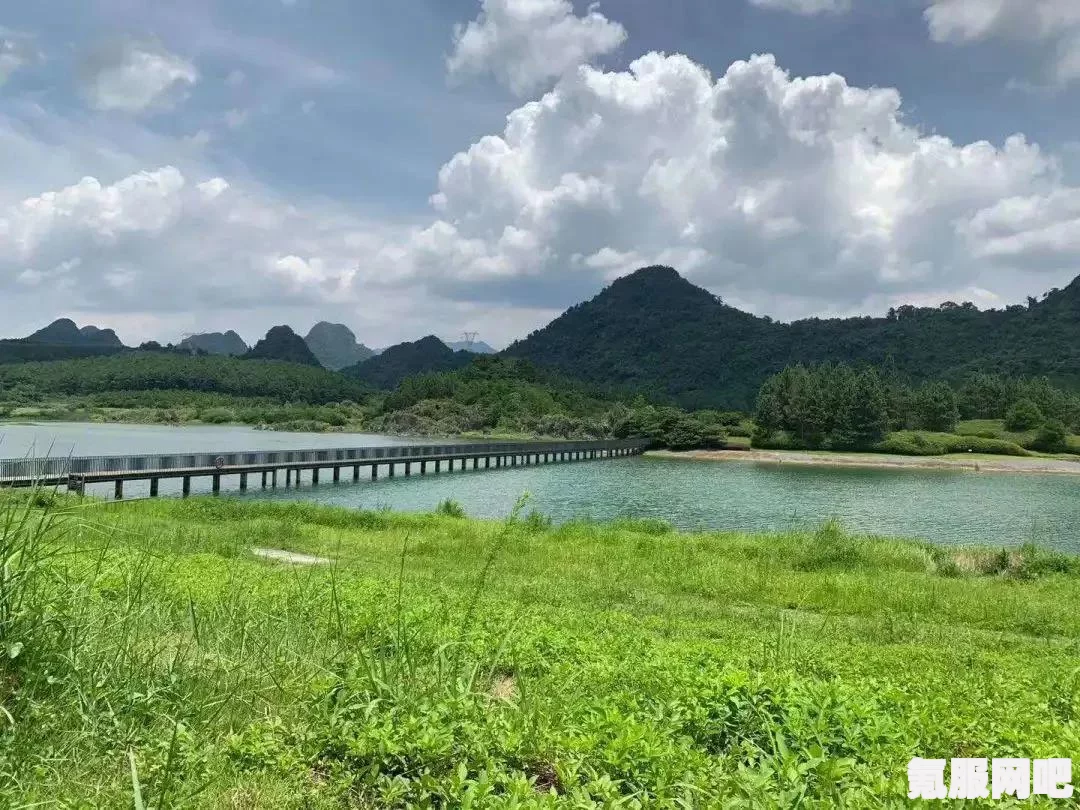 光遇2.22版同心节活动攻略，蝴蝶结代币的收集地点与策略