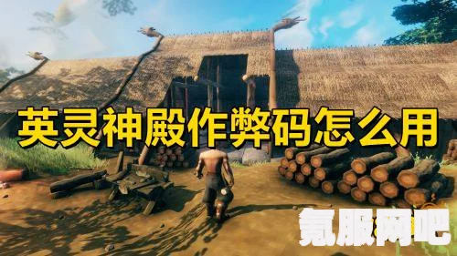 英灵神殿作弊码大全及最新攻略，游戏助手，轻松掌握秘籍