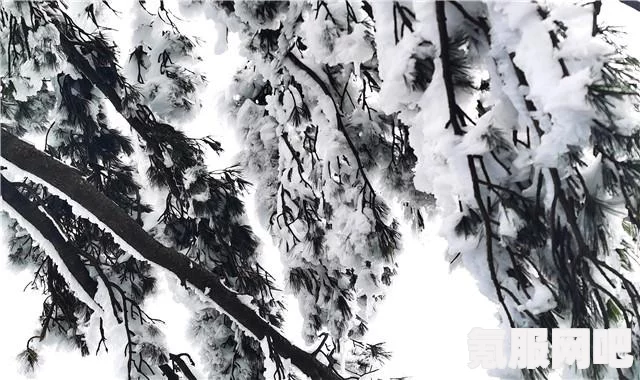 忘雪第五关攻略，解密通关图文详解