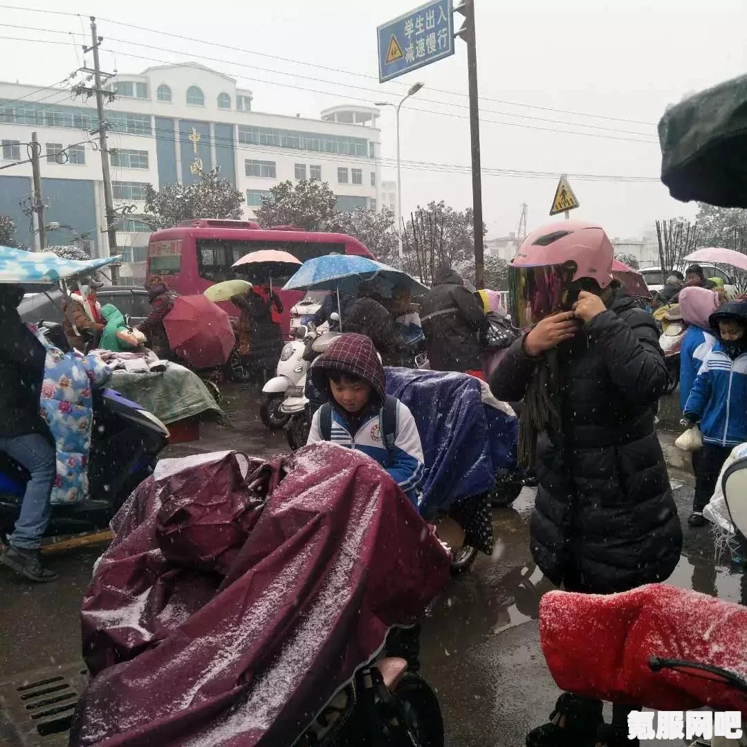 忘雪第四关攻略，图文详解通关流程