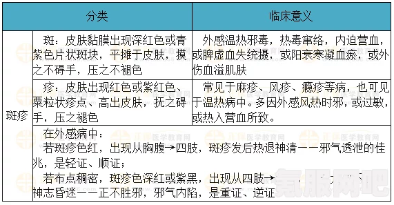 油管含义介绍，解析网络流行词汇背后的含义