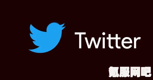 Twitter能用的加速器一览