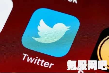 Twitter能用的加速器一览