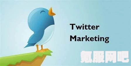 如何购买Twitter账号？详细指南与问答环节